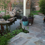 koi pond next to patio with tropical plants