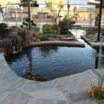 large koi pond