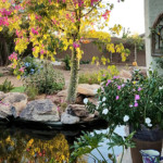 koi pond next to patio and beautiful landscaping