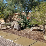 rock and desert landscaping