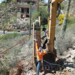 planting large saguaro cactus