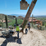 using crane to plant large saguaro cactus